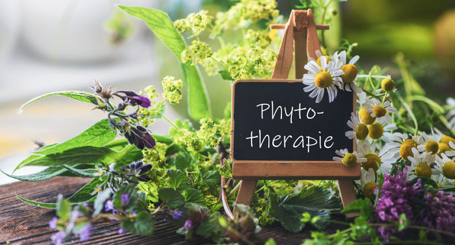 Phytotherapie-Large-Pflanzenheilkunde-Chur-Praxis-Loretz